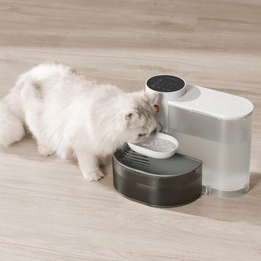 Fontaine automatique pour chat avec distributeur d'eau