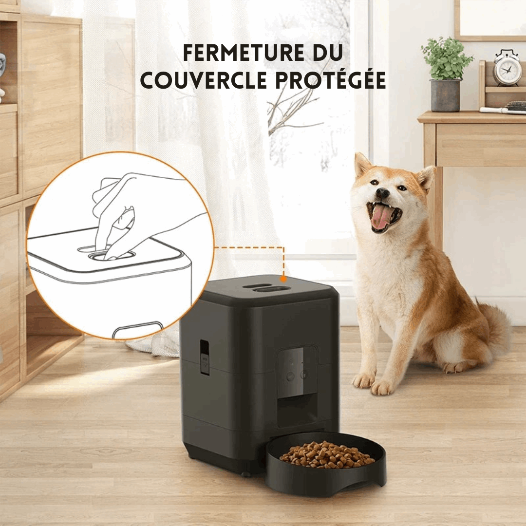 Distributeur connecté de croquettes pour chat