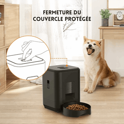 Distributeur connecté de croquettes pour chat