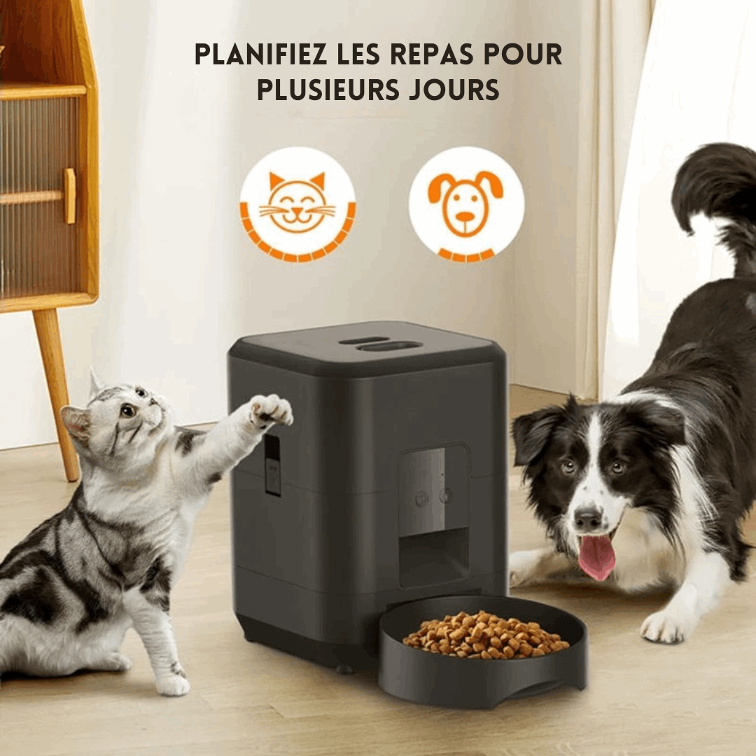 Distributeur connecté de croquettes pour chat