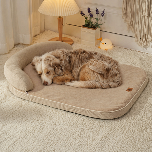 lit orthopédique chien